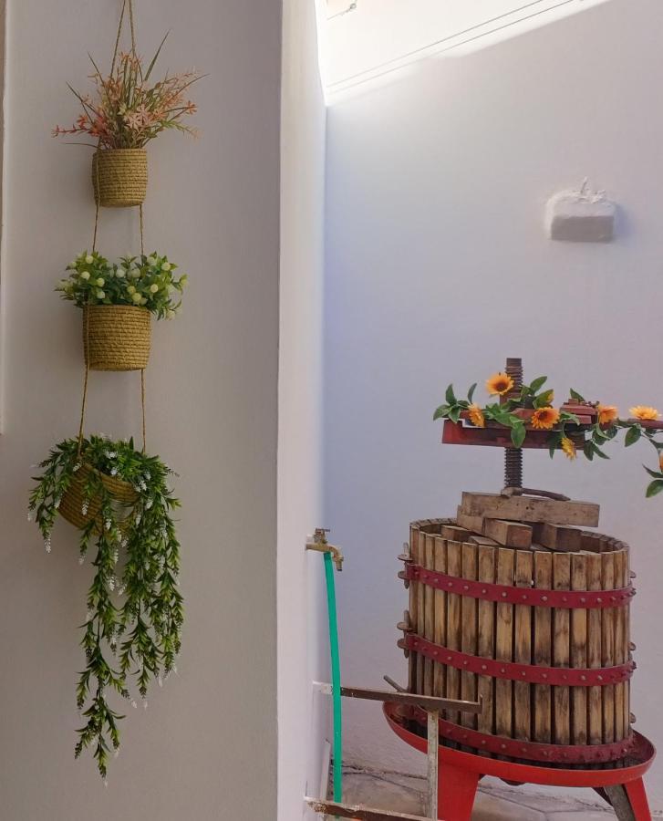 Casa Vacanze Campi Salentina Zewnętrze zdjęcie